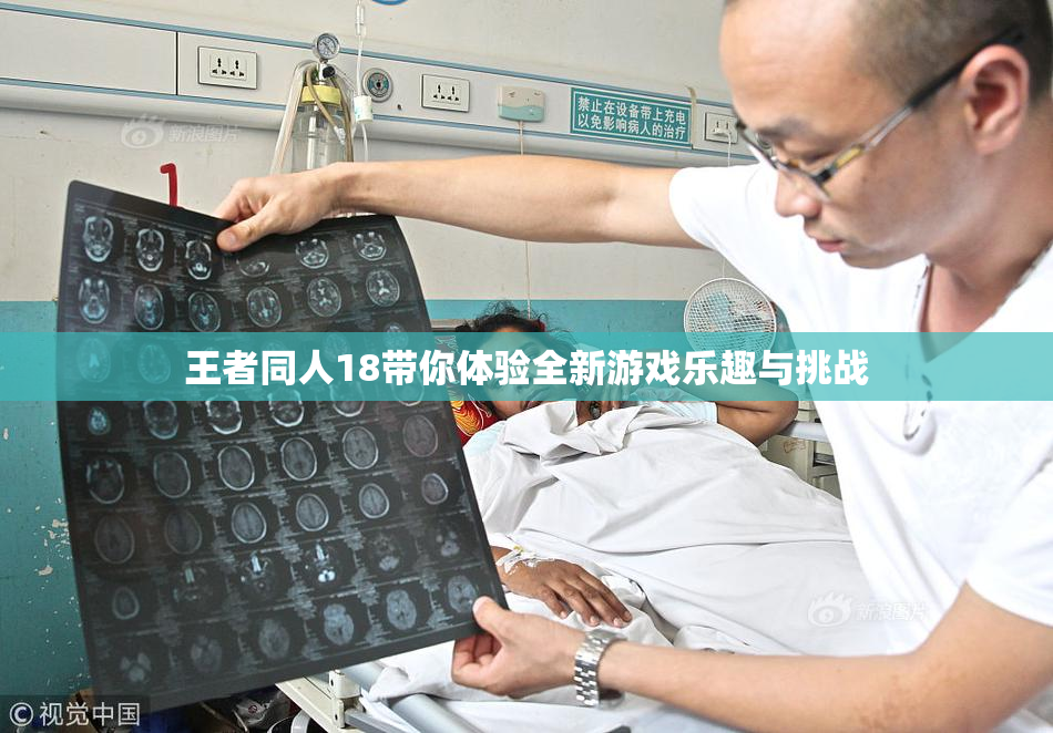 王者同人18带你体验全新游戏乐趣与挑战