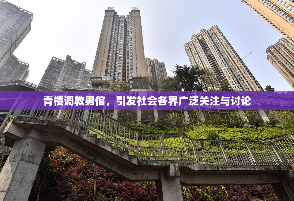 青楼调教男倌，引发社会各界广泛关注与讨论