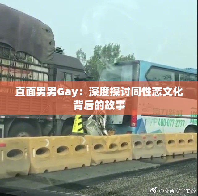 直面男男Gay：深度探讨同性恋文化背后的故事
