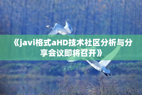 《javi格式aHD技术社区分析与分享会议即将召开》