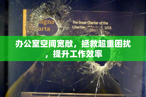 办公室空间宽敞，拯救超重困扰，提升工作效率
