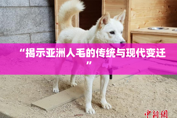 “揭示亚洲人毛的传统与现代变迁”