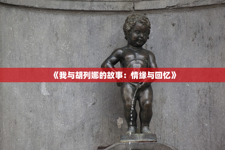《我与胡列娜的故事：情缘与回忆》
