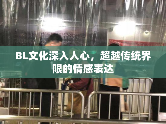 BL文化深入人心，超越传统界限的情感表达