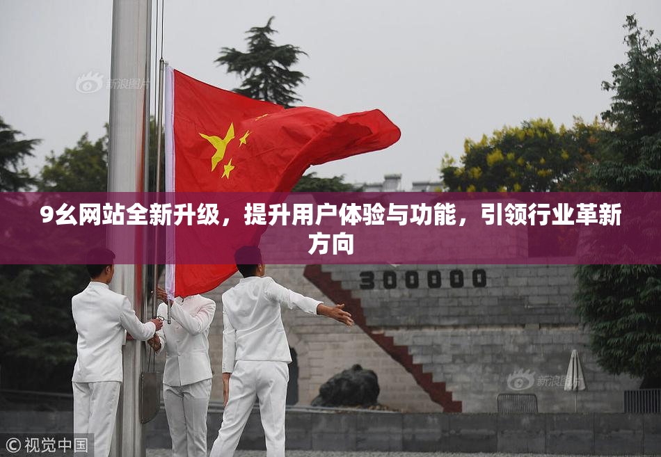 9幺网站全新升级，提升用户体验与功能，引领行业革新方向