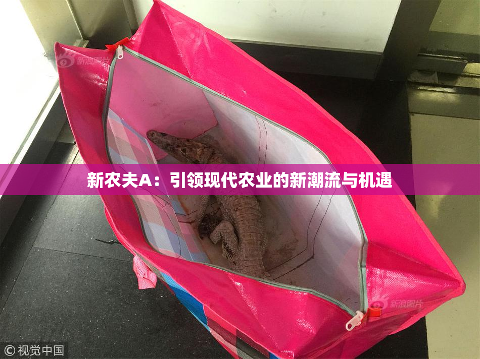 新农夫A：引领现代农业的新潮流与机遇
