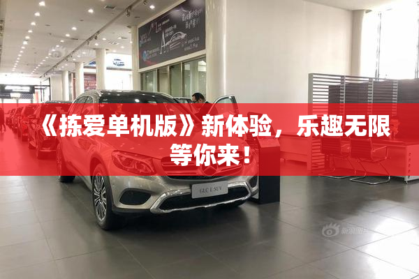 《拣爱单机版》新体验，乐趣无限等你来！