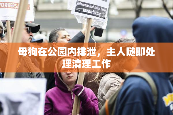 母狗在公园内排泄，主人随即处理清理工作