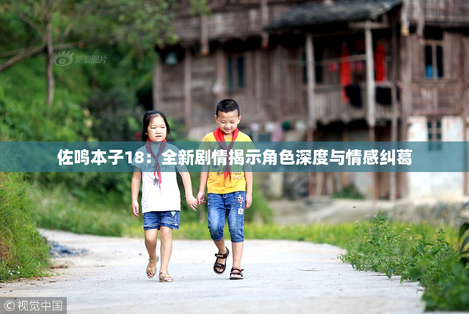 佐鸣本子18：全新剧情揭示角色深度与情感纠葛