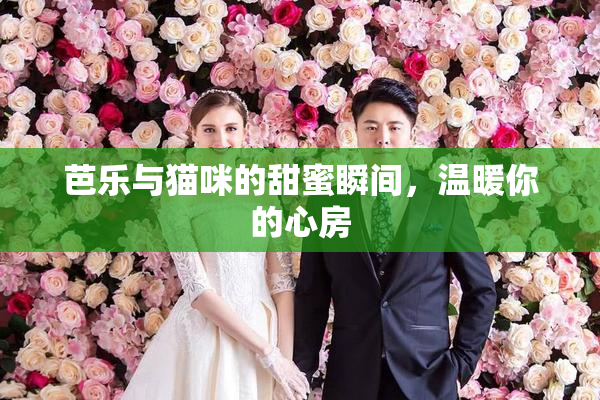 芭乐与猫咪的甜蜜瞬间，温暖你的心房