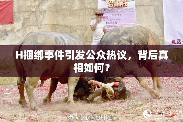 H捆绑事件引发公众热议，背后真相如何？