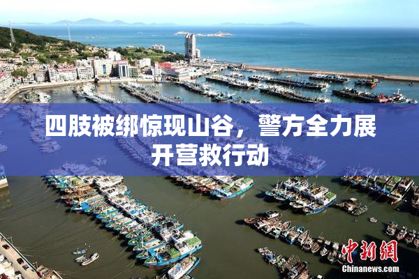 四肢被绑惊现山谷，警方全力展开营救行动