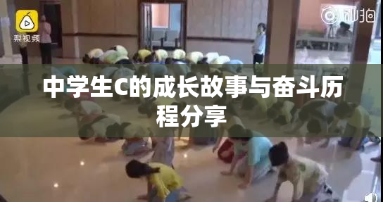 中学生C的成长故事与奋斗历程分享
