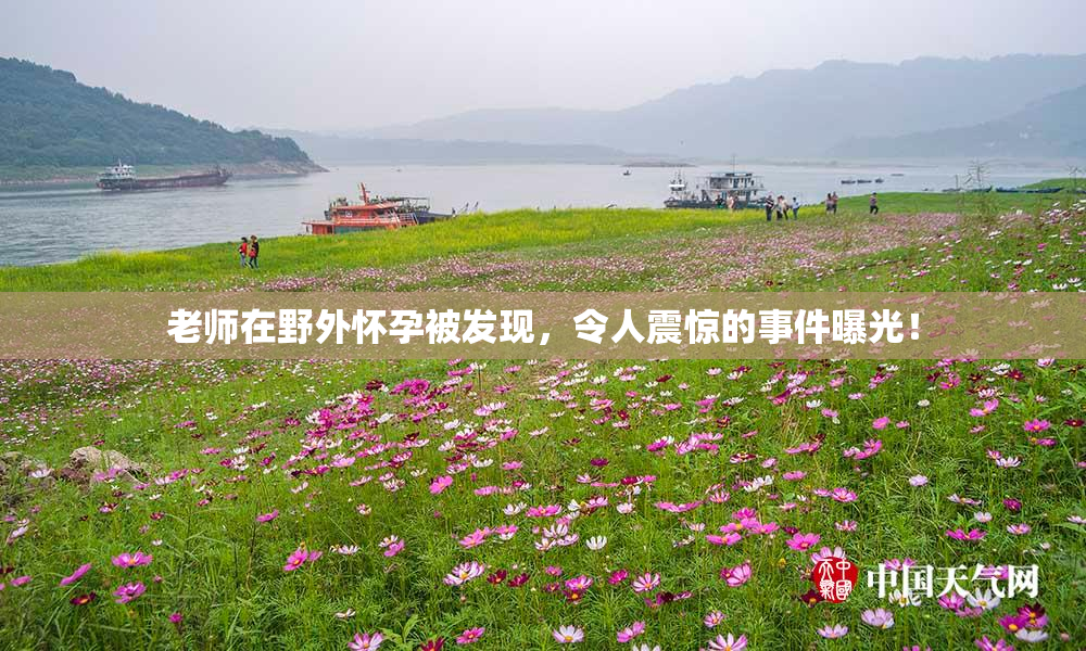 老师在野外怀孕被发现，令人震惊的事件曝光！
