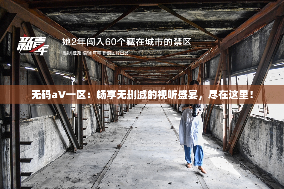 无码aV一区：畅享无删减的视听盛宴，尽在这里！