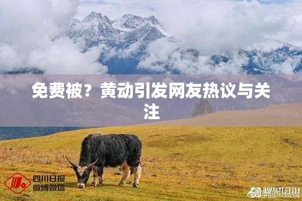 免费被？黄动引发网友热议与关注