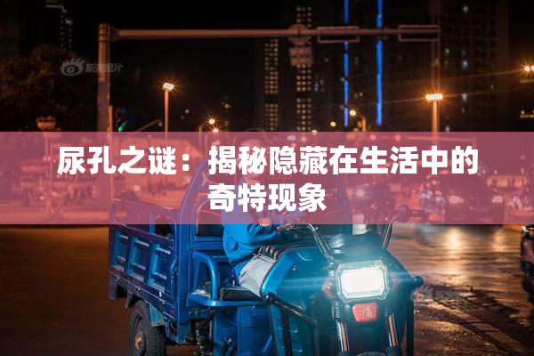 尿孔之谜：揭秘隐藏在生活中的奇特现象