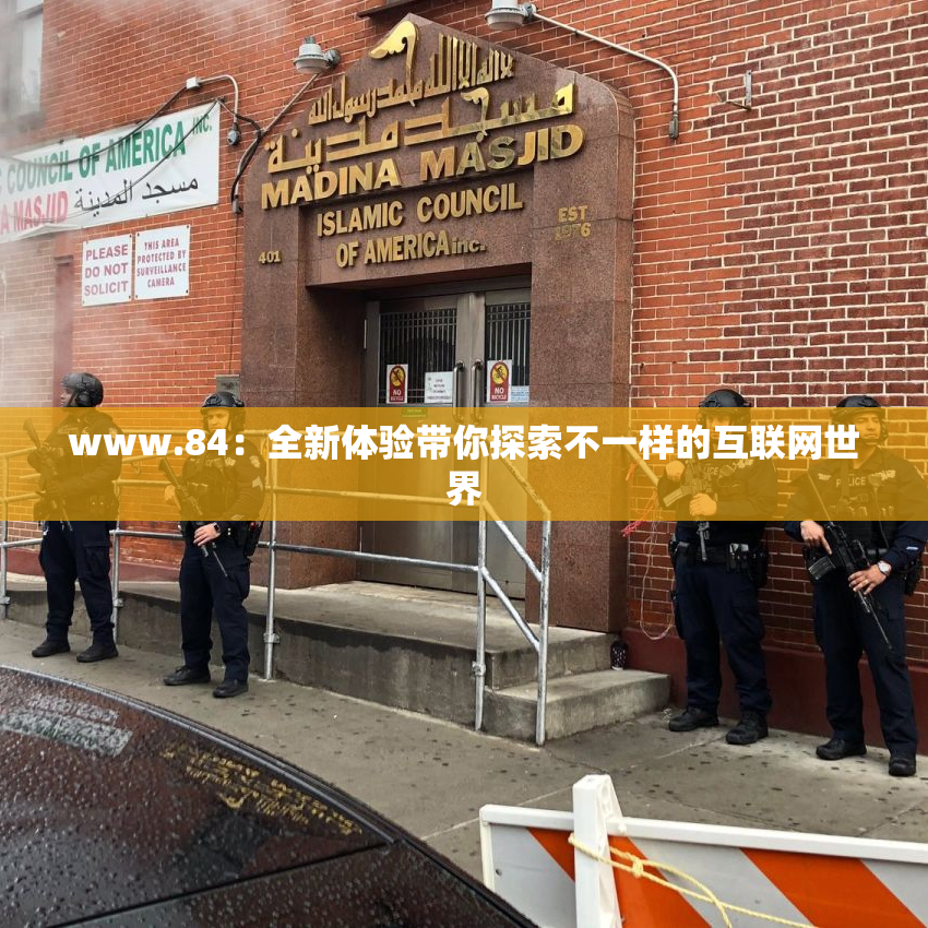 www.84：全新体验带你探索不一样的互联网世界