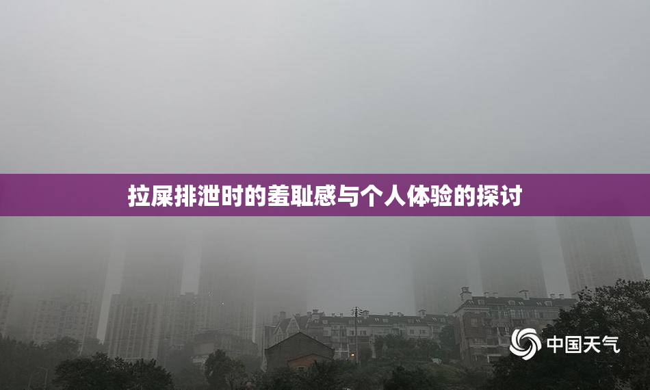 拉屎排泄时的羞耻感与个人体验的探讨