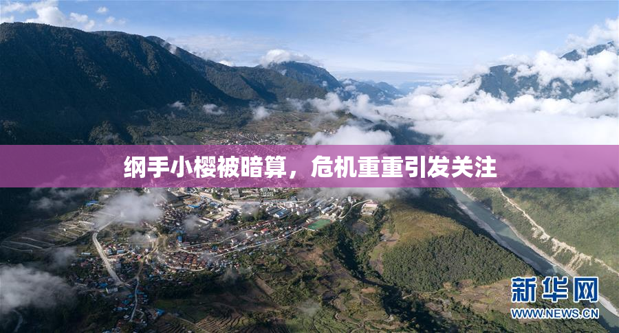 纲手小樱被暗算，危机重重引发关注