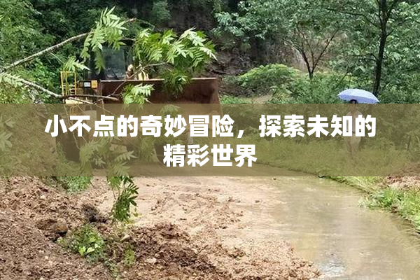 小不点的奇妙冒险，探索未知的精彩世界