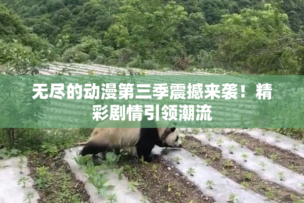 无尽的动漫第三季震撼来袭！精彩剧情引领潮流