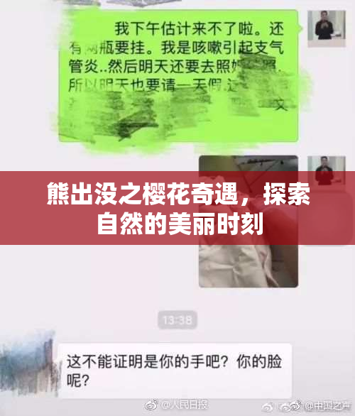 熊出没之樱花奇遇，探索自然的美丽时刻