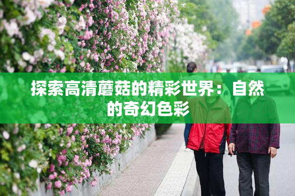 探索高清蘑菇的精彩世界：自然的奇幻色彩