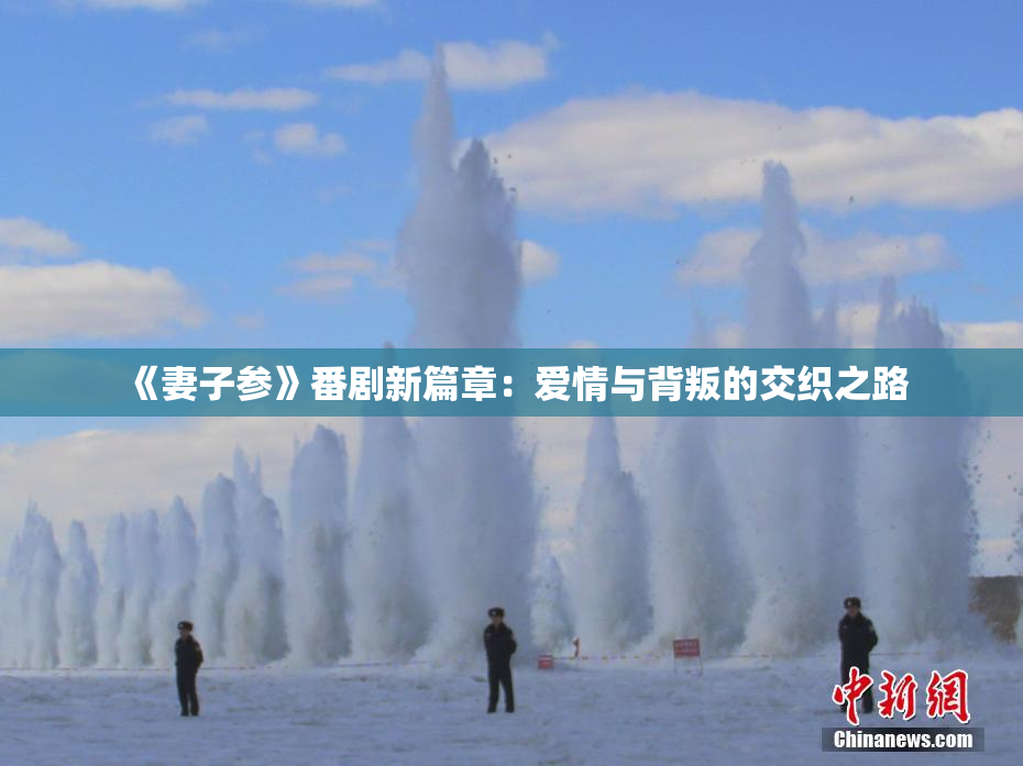 《妻子参》番剧新篇章：爱情与背叛的交织之路