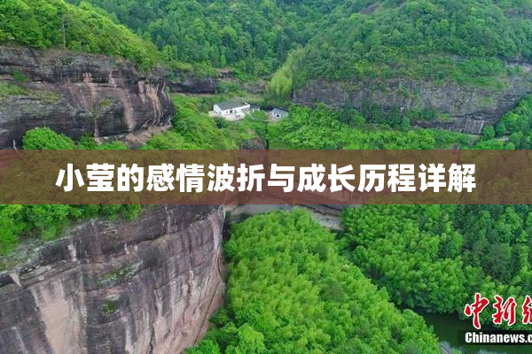 小莹的感情波折与成长历程详解