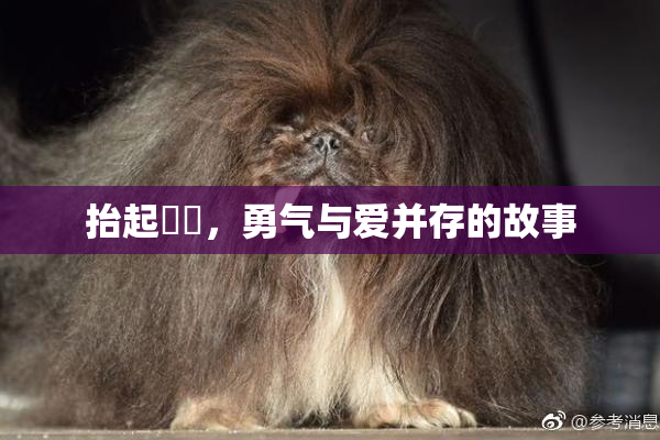 抬起妺妺，勇气与爱并存的故事