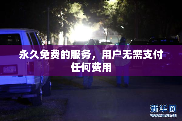 永久免费的服务，用户无需支付任何费用