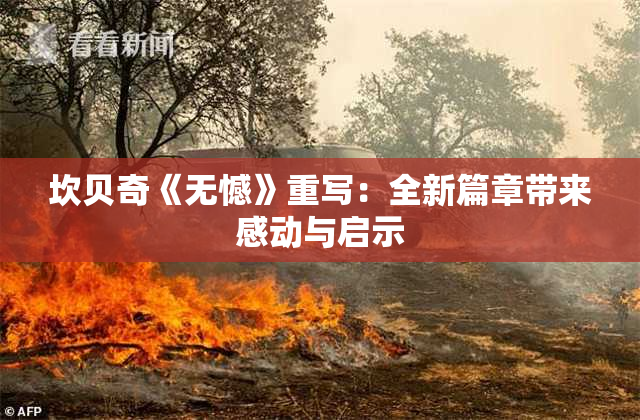 坎贝奇《无憾》重写：全新篇章带来感动与启示