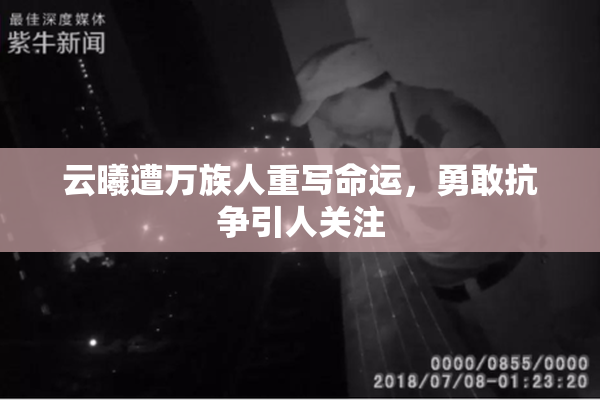 云曦遭万族人重写命运，勇敢抗争引人关注