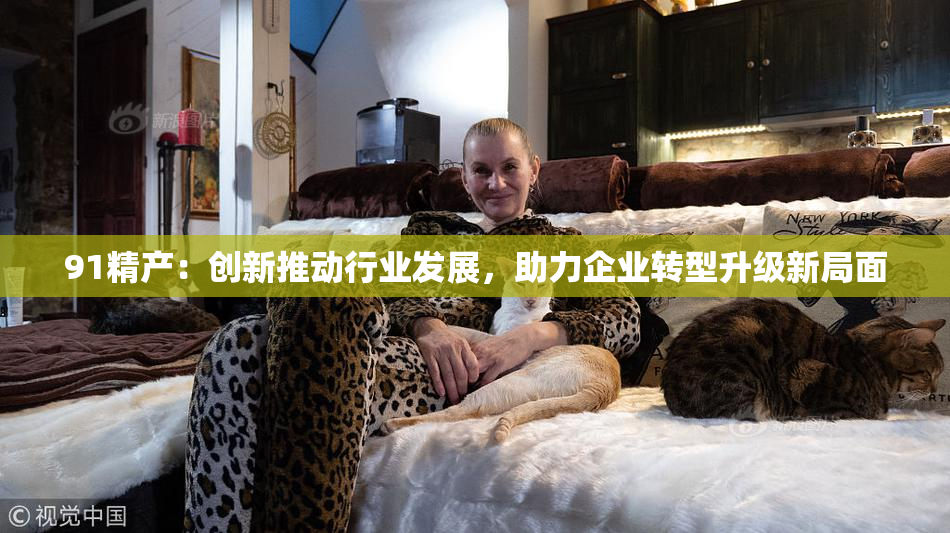 91精产：创新推动行业发展，助力企业转型升级新局面