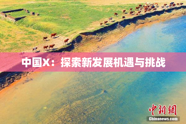中国X：探索新发展机遇与挑战