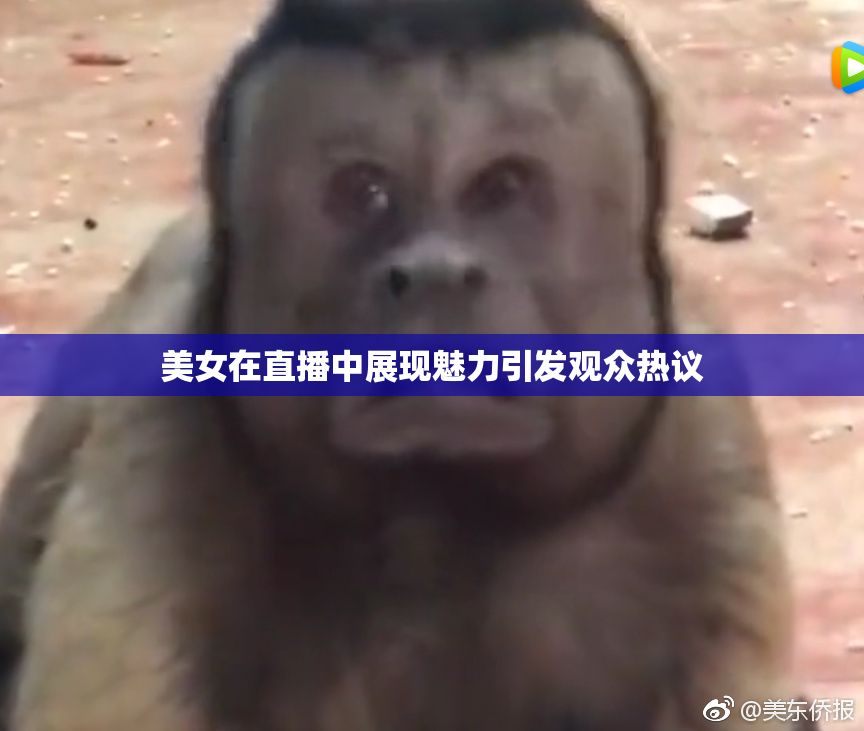 美女在直播中展现魅力引发观众热议