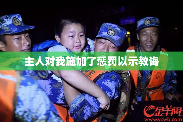 主人对我施加了惩罚以示教诲