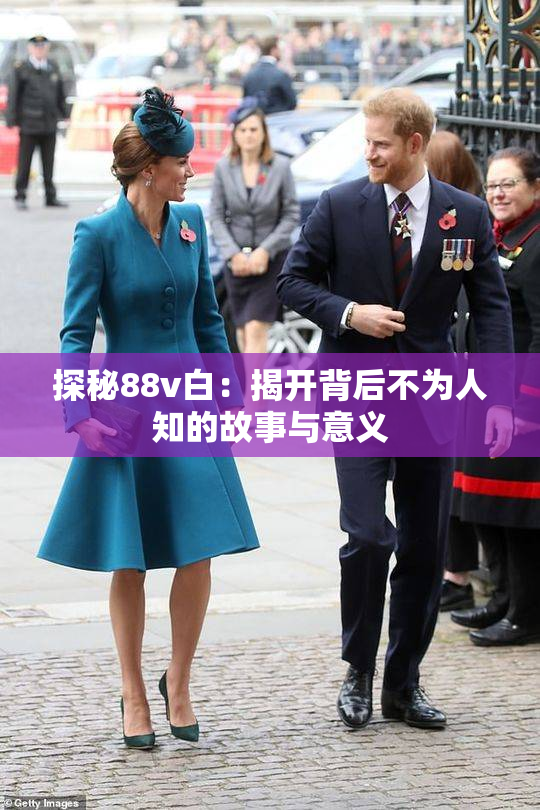 探秘88v白：揭开背后不为人知的故事与意义