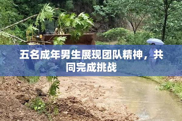 五名成年男生展现团队精神，共同完成挑战