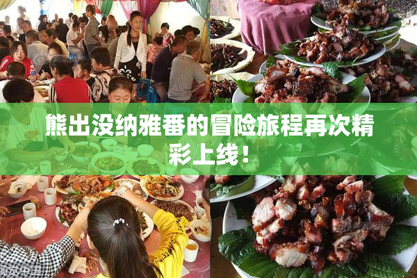 熊出没纳雅番的冒险旅程再次精彩上线！