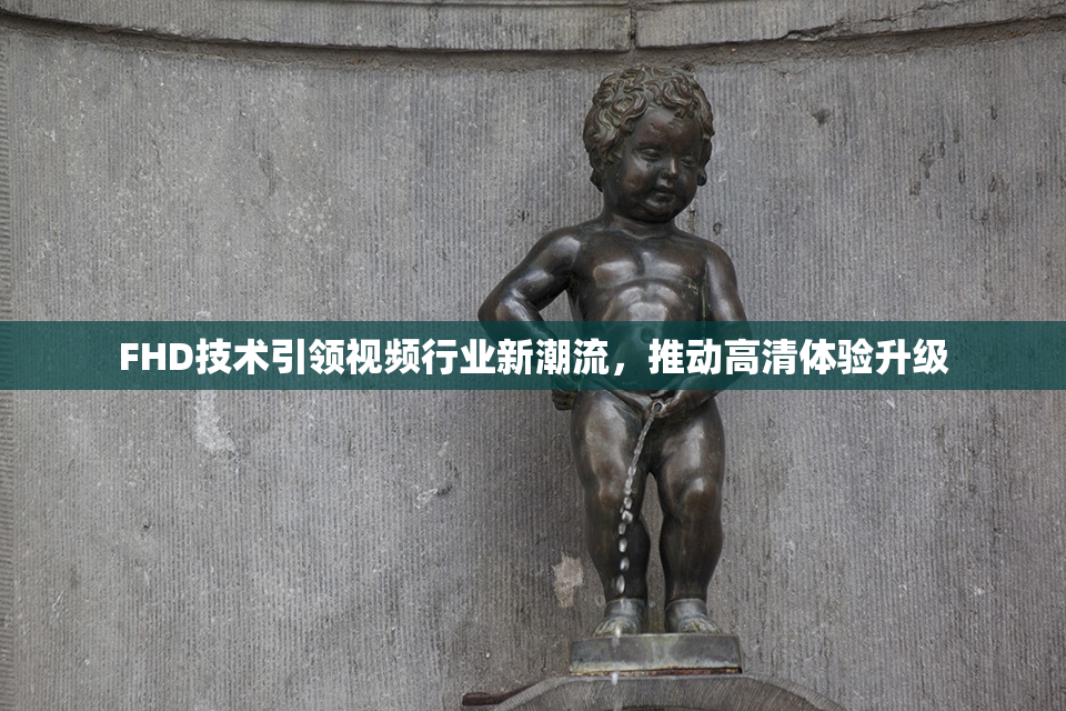 FHD技术引领视频行业新潮流，推动高清体验升级
