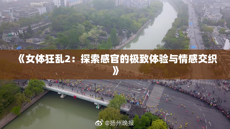 《女体狂乱2：探索感官的极致体验与情感交织》