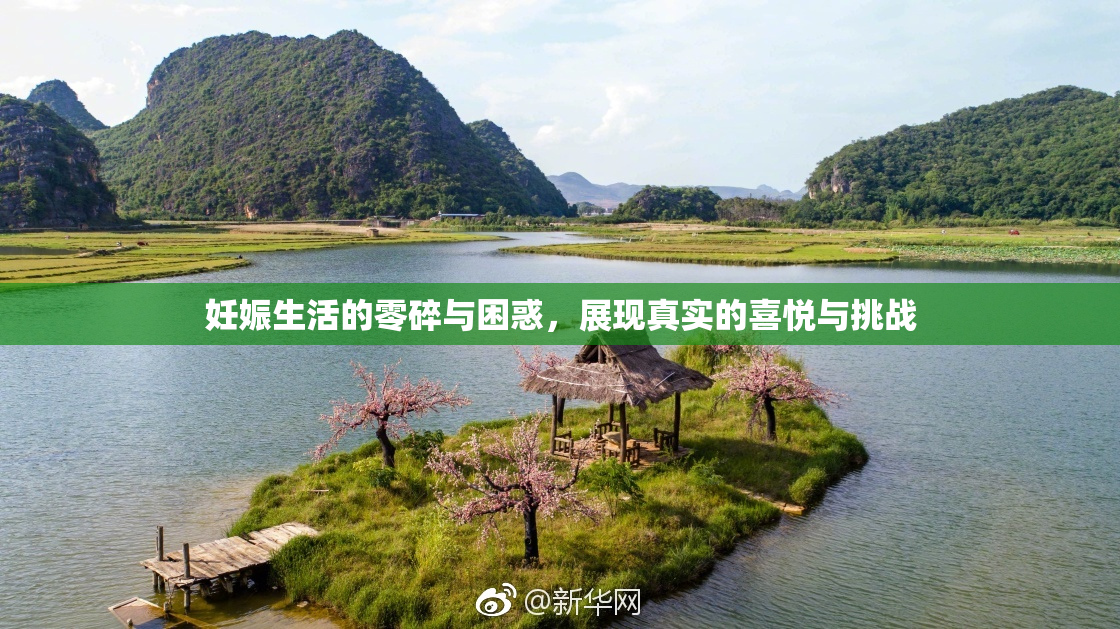 妊娠生活的零碎与困惑，展现真实的喜悦与挑战