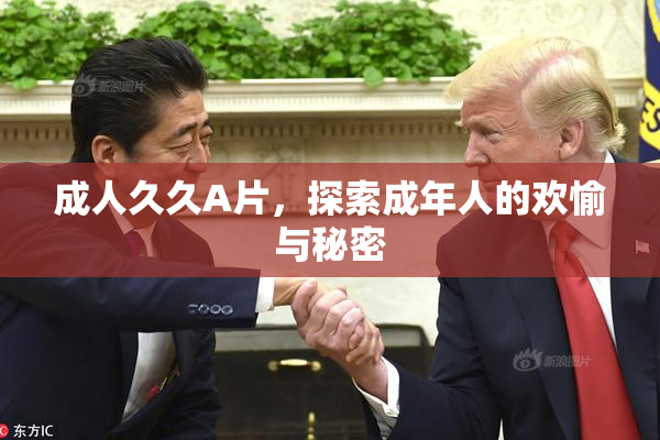 成人久久A片，探索成年人的欢愉与秘密