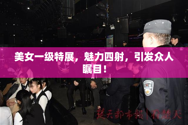 美女一级特展，魅力四射，引发众人瞩目！