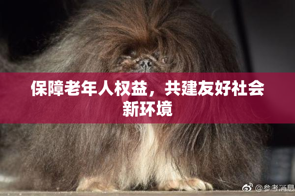 保障老年人权益，共建友好社会新环境