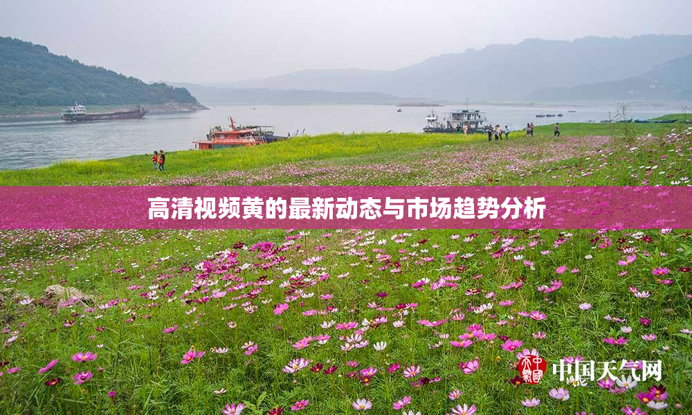 高清视频黄的最新动态与市场趋势分析