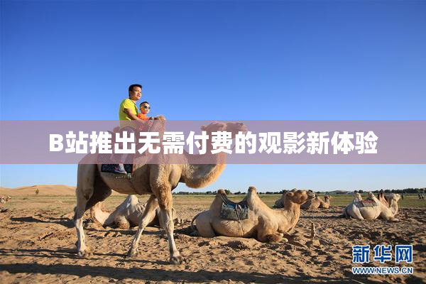 B站推出无需付费的观影新体验