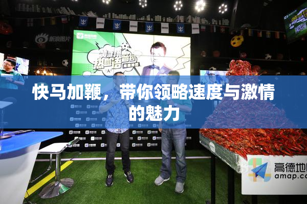 快马加鞭，带你领略速度与激情的魅力